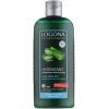 Шампунь Logona Увлажнение и Защита для сухих волос с Алоэ Вера 250 мл (4017645032279)