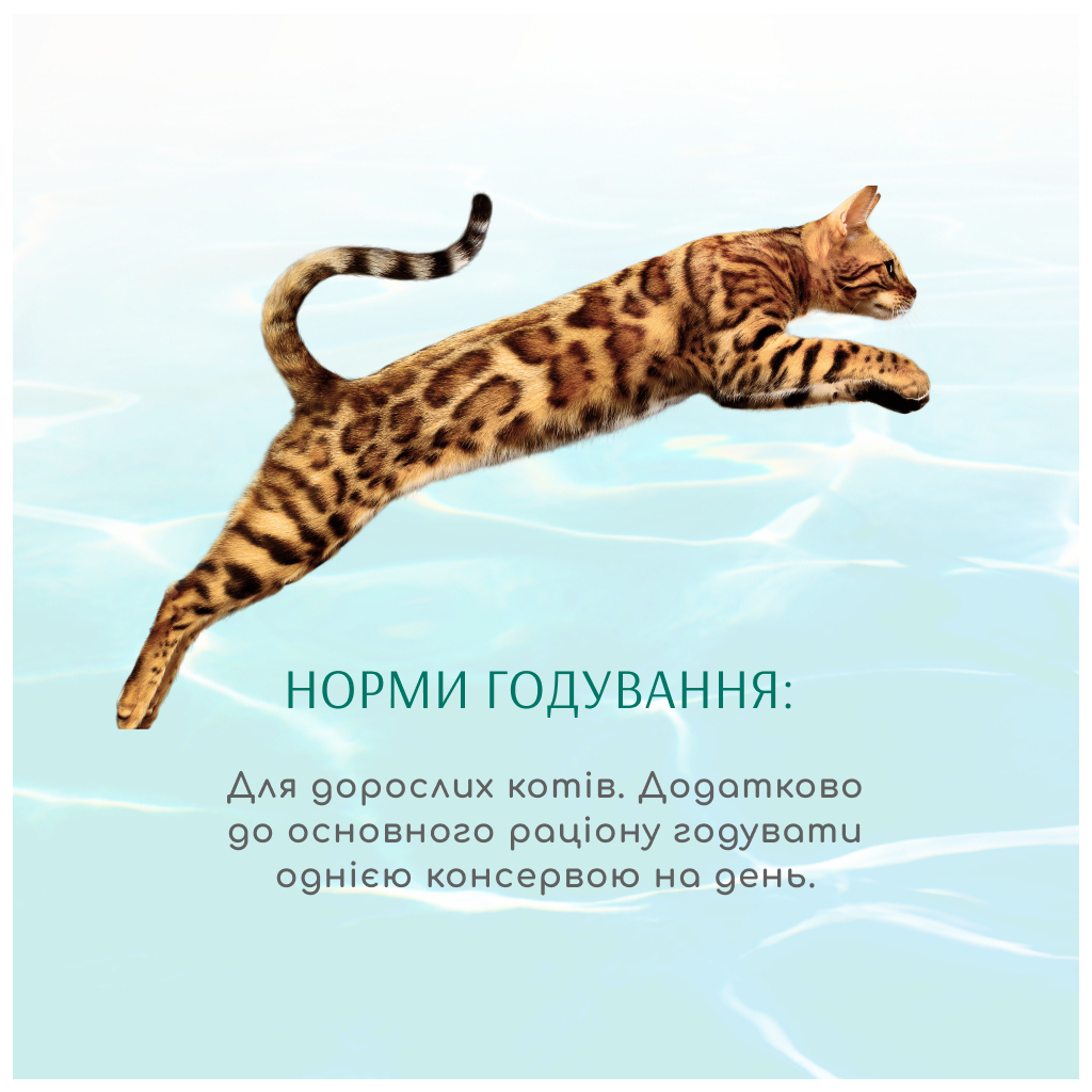Консерви для котів Optimeal Beauty Fitness смугастий тунець у соусі з креветками 70 г (4820215366229) зображення 5