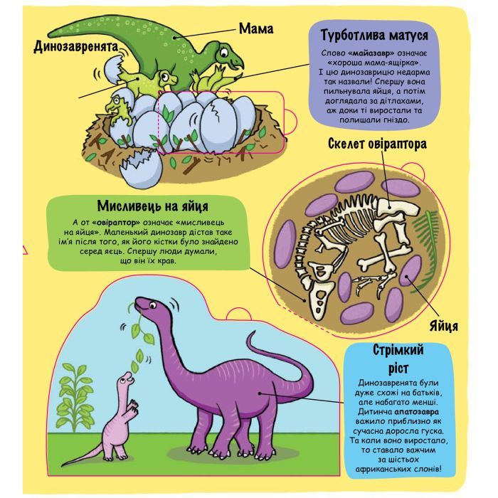 Книга Маленькі дослідники. Динозаври #книголав (9786177563203) зображення 4