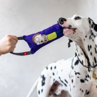 Игрушка для собак WAUDOG Fun "Рик и Морти 3" с пищалкой L (631-0282) изображение 3