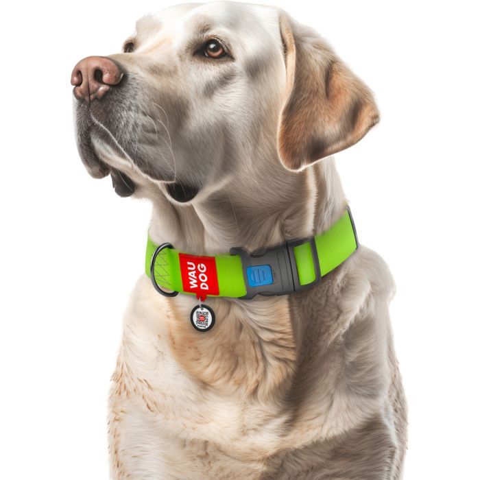 Ошейник для животных WAUDOG Waterproof с QR паспортом пластиковый фастекс XXL голубой (25112) изображение 4