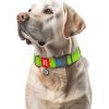 Ошейник для животных WAUDOG Waterproof с QR паспортом пластиковый фастекс XXL салатовый (25115) изображение 4