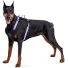Шлей для собак WAUDOG Nylon безопасна с QR паспортом M фиолетовая (52499) изображение 3
