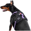 Шлей для собак WAUDOG Nylon безопасна с QR паспортом M фиолетовая (52499) изображение 4