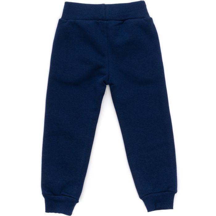 Спортивный костюм детский Smile флисовый (8168-982G-blue) изображение 6
