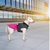Попона для животных Pet Fashion ROY 2XL малиново-серая (4823082432912) изображение 7