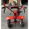 Культиватор Forte 1350G, колеса 12", 13лс (113380) изображение 3