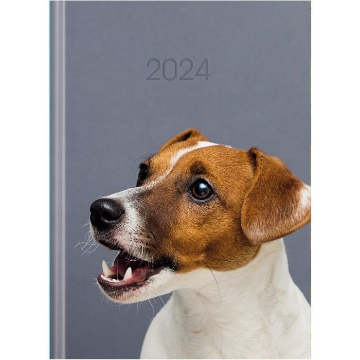 Тижневик Economix датований 2024 COLOR, А5 (E21841)