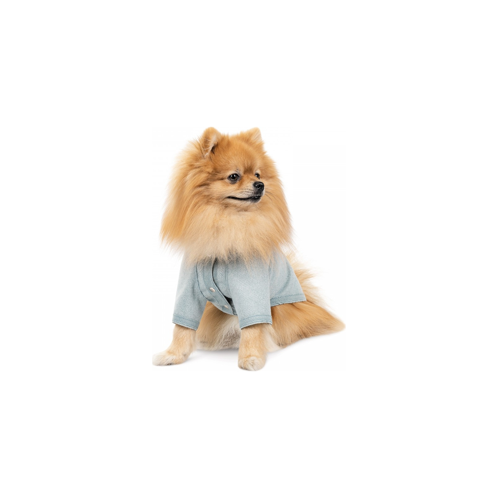 Свитер для животных Pet Fashion Denis XS мятный (4823082434596) изображение 2