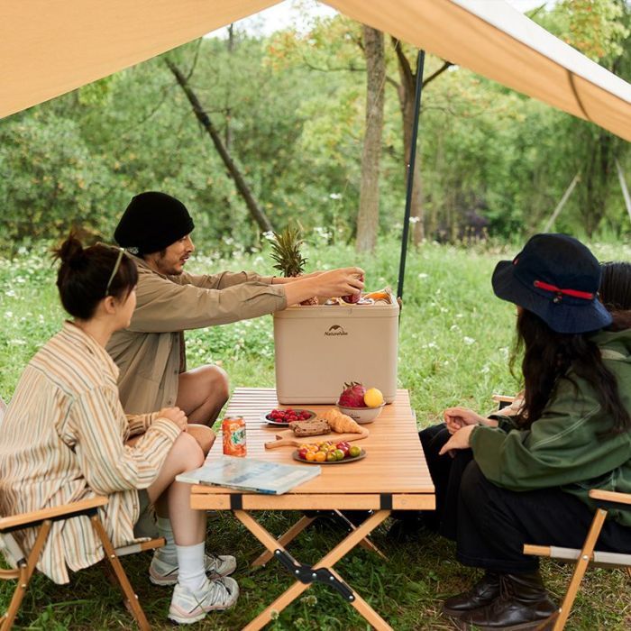 Термобокс Naturehike CNK2300BS011 13 л бежевий (6976023925672) зображення 5