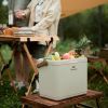 Термобокс Naturehike CNK2300BS011 13 л бежевий (6976023925672) зображення 6