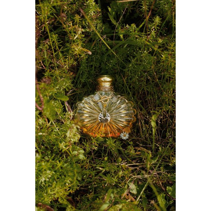 Парфумована вода Lalique Soleil Vibrant 50 мл (7640171199047) зображення 4