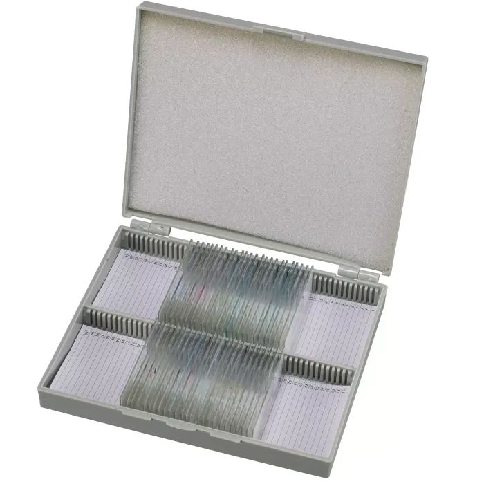 Набор микропрепаратов Bresser Histology 30 шт (5985000) (931505)