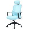 Офісне крісло OfficePro Harmony OC310-B-BL-BL (OC310-B-BL-BL)