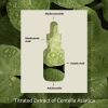 Сироватка для обличчя Cos De BAHA LH Serum Зволожувальна з гіалуроновою кислотою та аденозином 30 мл (8809240319345) зображення 3