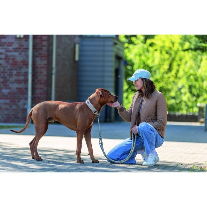 Нашийник для тварин Trixie Premium екстраширокий M-L 40-48 см 40 мм рижо-графітовий (4053032677470) зображення 4