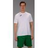Футболка Joma Combi 100052.200 білий S (9995042144069) зображення 3