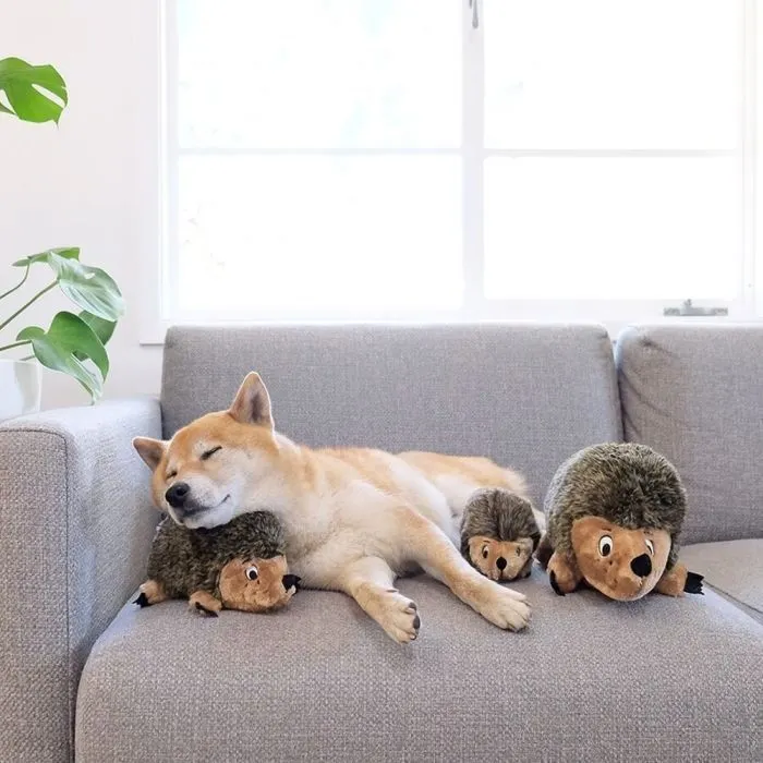 Іграшка для собак Outward Hound Hedgehogz Їжачок Small (0700603320245) зображення 5