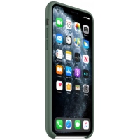 Чехол для мобильного телефона Apple iPhone 11 Pro Max Silicone Case - Pine Green (MX012ZM/A) изображение 2