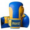 Боксерские перчатки PowerPlay 3021 Ukraine 10oz Blue/Yellow (PP_3021_10oz_Blue-Yellow)