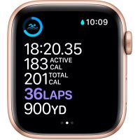 Смарт-часы Apple Watch Series 6 GPS, 40mm Gold Aluminium Case with Pink Sand (MG123UL/A) изображение 4