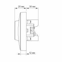 Розетка Videx BINERA 2ая с заземлением серебр (VF-BNSK2G-SS) изображение 5