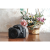Цифровий фотоапарат Canon EOS 2000D 18-55 DC III (2728C007AA) зображення 11