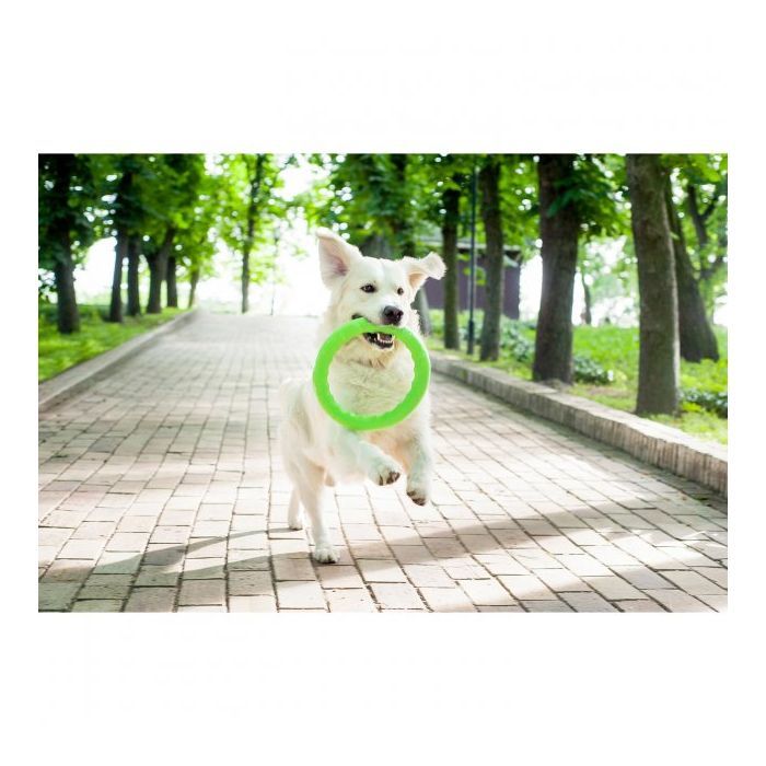 Игрушка для собак Collar PitchDog Кольцо для апортировки 20 см салатовое (62375) изображение 4
