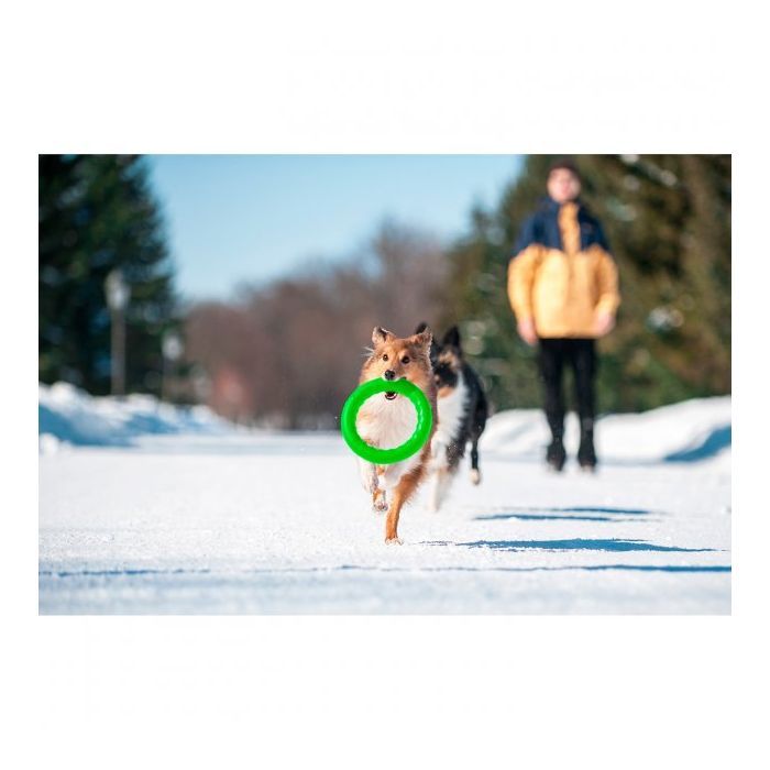 Игрушка для собак Collar PitchDog Кольцо для апортировки 20 см салатовое (62375) изображение 7
