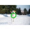 Игрушка для собак Collar PitchDog Кольцо для апортировки 20 см салатовое (62375) изображение 8
