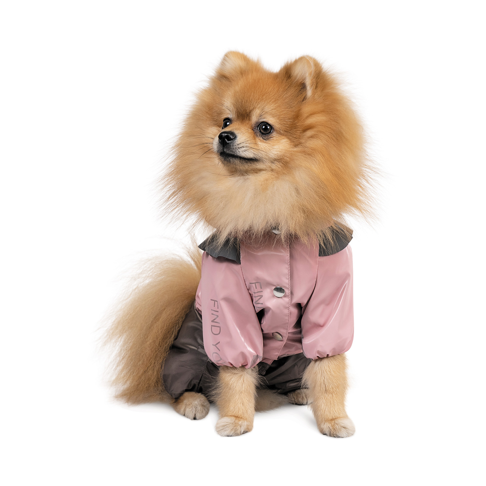 Дождевик для животных Pet Fashion ARIEL M (4823082429882) изображение 2
