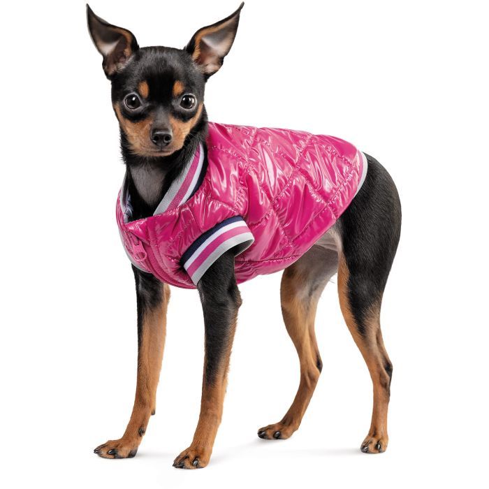 Бомбер для тварин Pet Fashion Grace XS (4823082430147) зображення 2