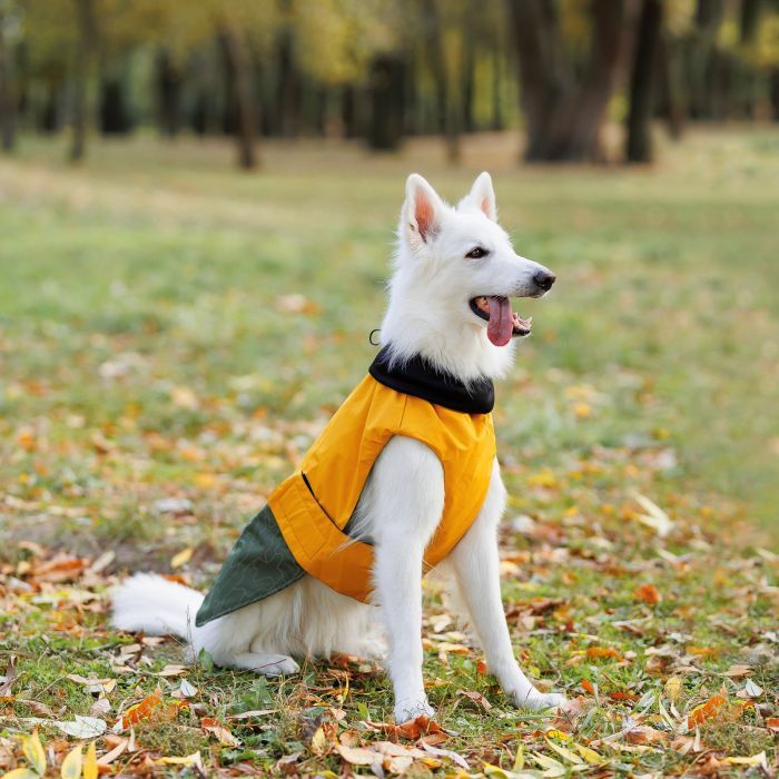 Попона для животных Pet Fashion ROY 7XL хаки-горчица (4823082432790) изображение 8