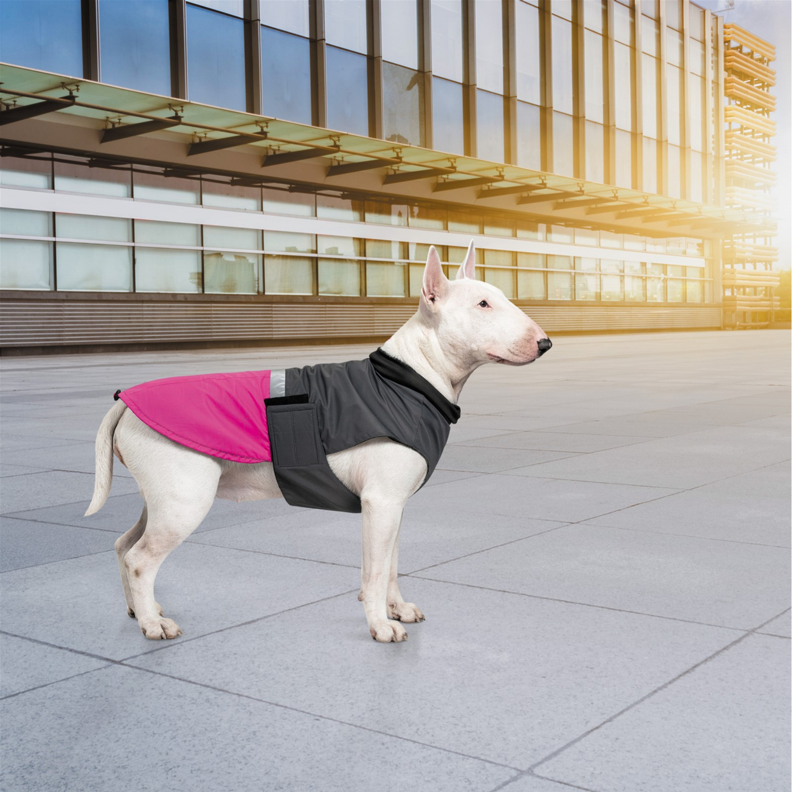 Попона для тварин Pet Fashion ROY 5XL малиново-сіра (4823082432882) зображення 7
