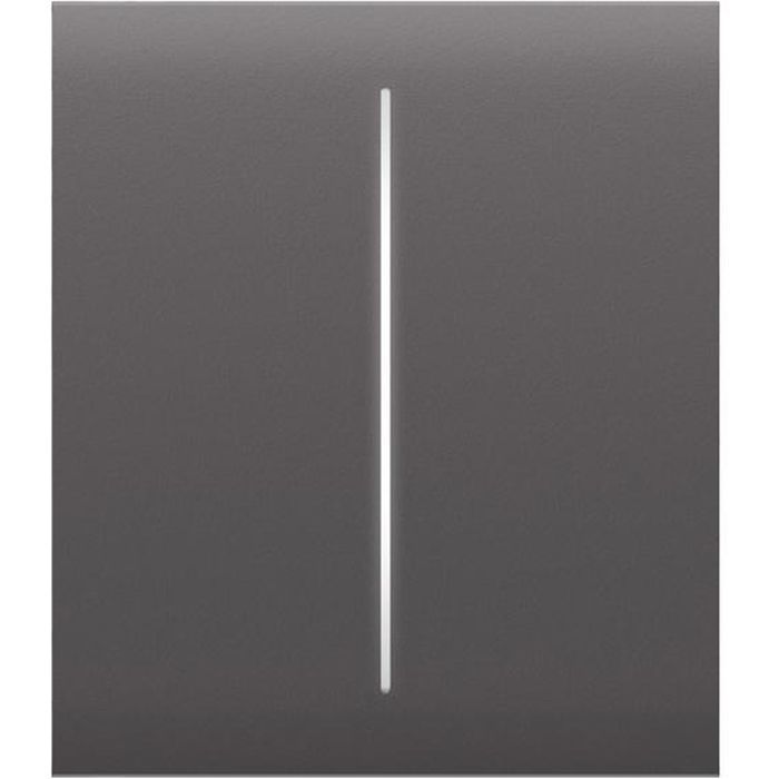 Накладна панель Ajax CenterButton 2-gang/grey