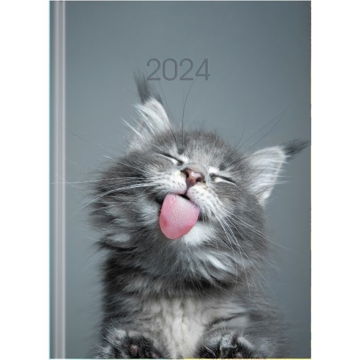 Тижневик Economix датований 2024 COLOR, А5 (E21842)