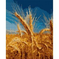 Картина по номерам Santi Золотий колос 40*50 см алмазна мозаїка (954705)