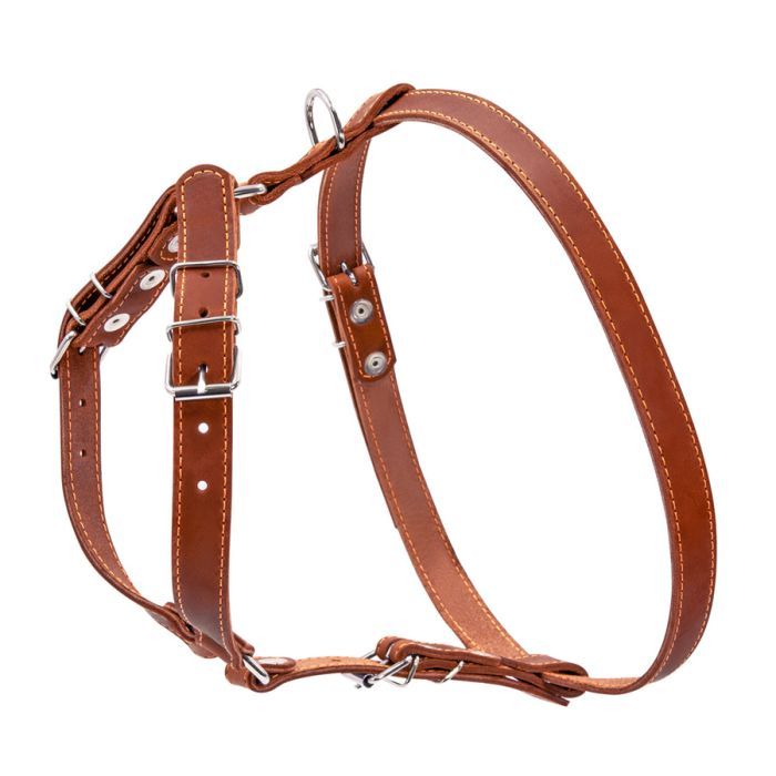 Шлея для собак Collar одинарна для малих та середніх порід Ш 20 мм А:40-56 см В:57-65 см чорна (06361) зображення 2