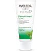 Гель для полости рта Weleda Зубной на травах 75 мл (4001638086554)