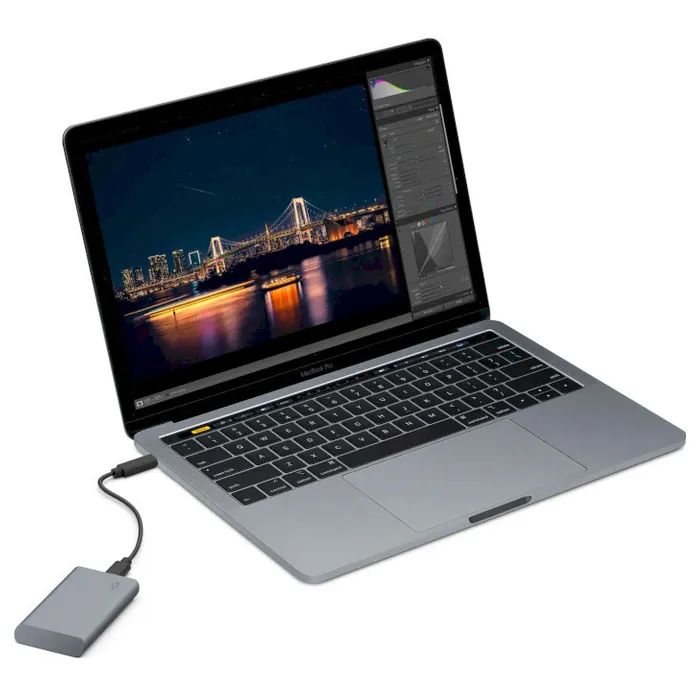 Накопичувач SSD USB Type-C 1TB Mobile Secure LaCie (STKH1000800) зображення 11