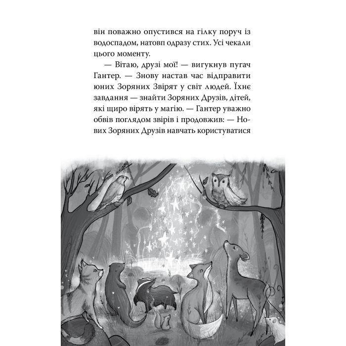 Книга Зоряні Друзі. Зачароване дзеркало. Книга 1 - Лінда Чепмен Видавництво РМ (9786178512750) изображение 3