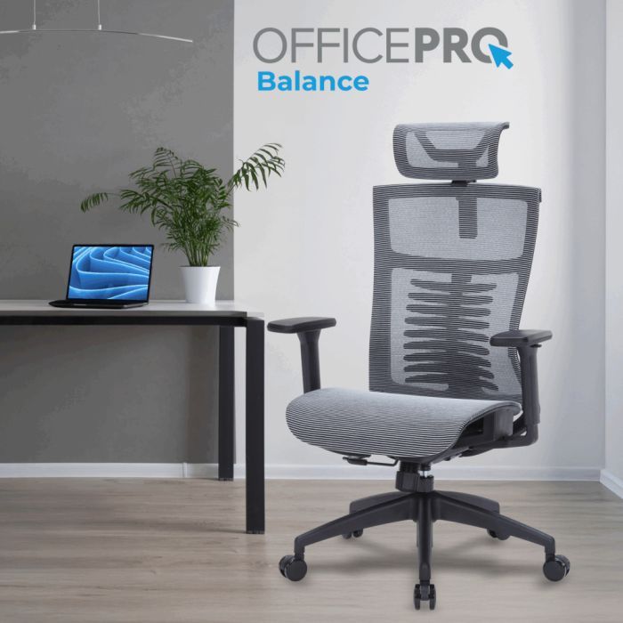 Офісне крісло OfficePro Balance OC620-B-DG-DG (OC620-B-DG-DG) зображення 3