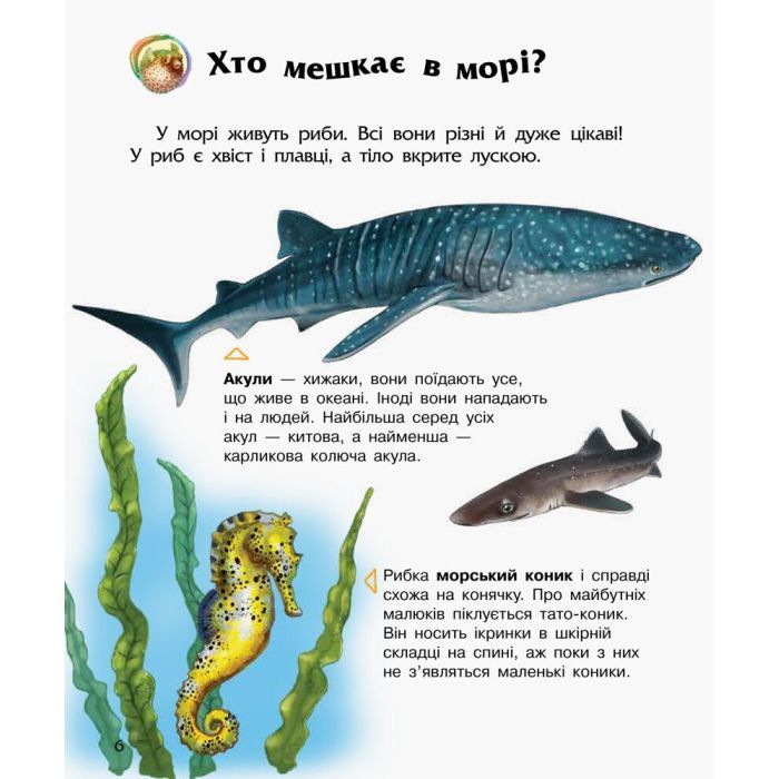 Книга Океани та моря. Енциклопедія дошкільника - Юлія Каспарова Ранок (9786170993489) изображение 6