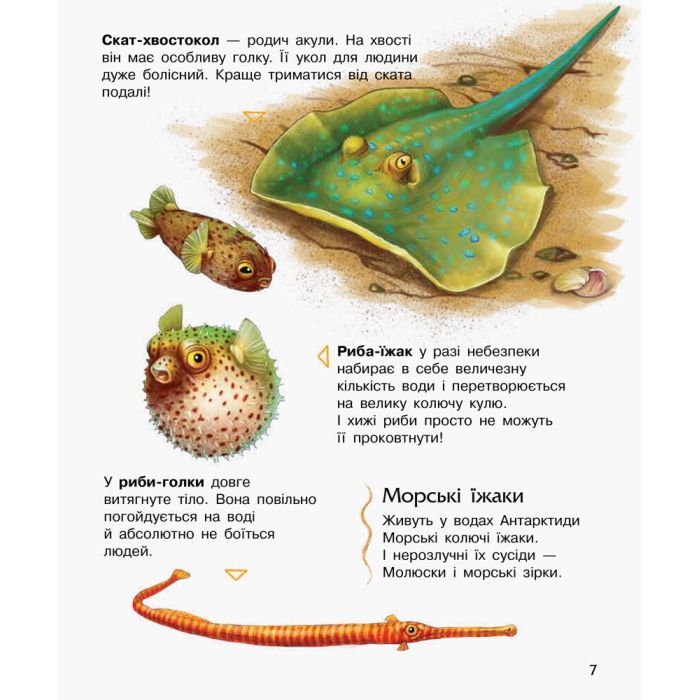 Книга Океани та моря. Енциклопедія дошкільника - Юлія Каспарова Ранок (9786170993489) изображение 7