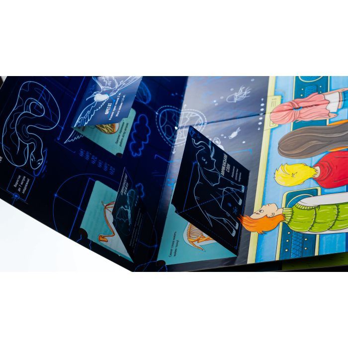 Книга Скелети і кістки. Енциклопедія з віконцями - Ганна Булгакова Ранок (9786170974938) зображення 4