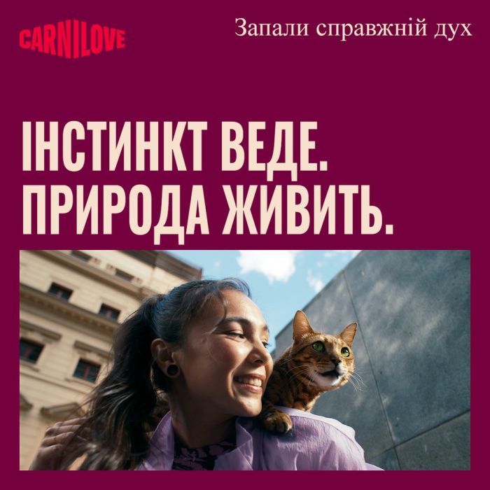 Сухий корм для кішок Carnilove True Fresh Beef Sterilised 400 г (8595602582143) зображення 9