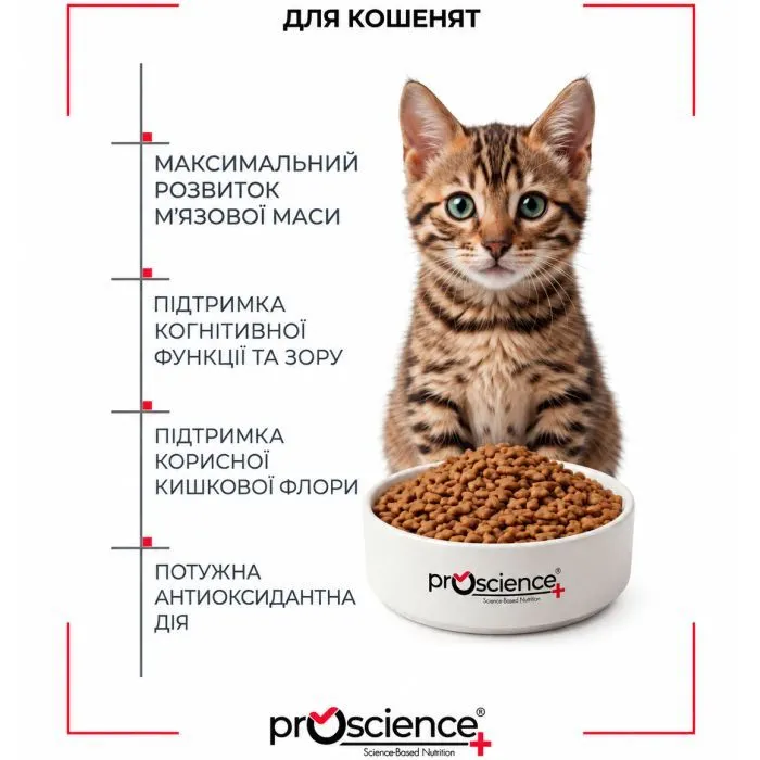 Сухий корм для кішок ProScience Kitten Lamb 1.5 кг (8694686407547) зображення 5