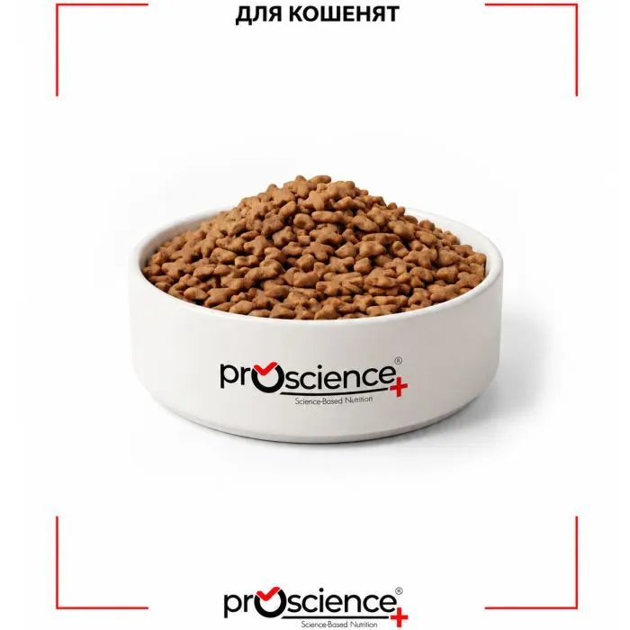 Сухий корм для кішок ProScience Kitten Lamb 1.5 кг (8694686407547) зображення 6