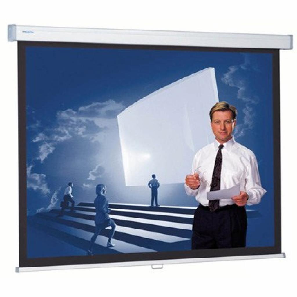Проекційний екран ProScreen CSR 154x240 см Projecta (10200236)