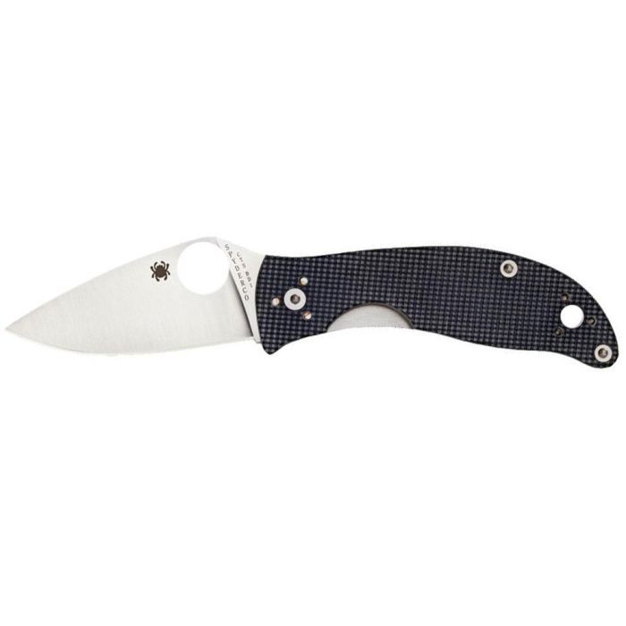 Ніж Spyderco Alcyone (C222GPGY)